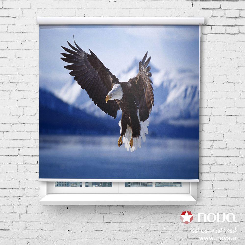 عکس محصول پرده شید تصویری طرح عقاب کد ANM-03