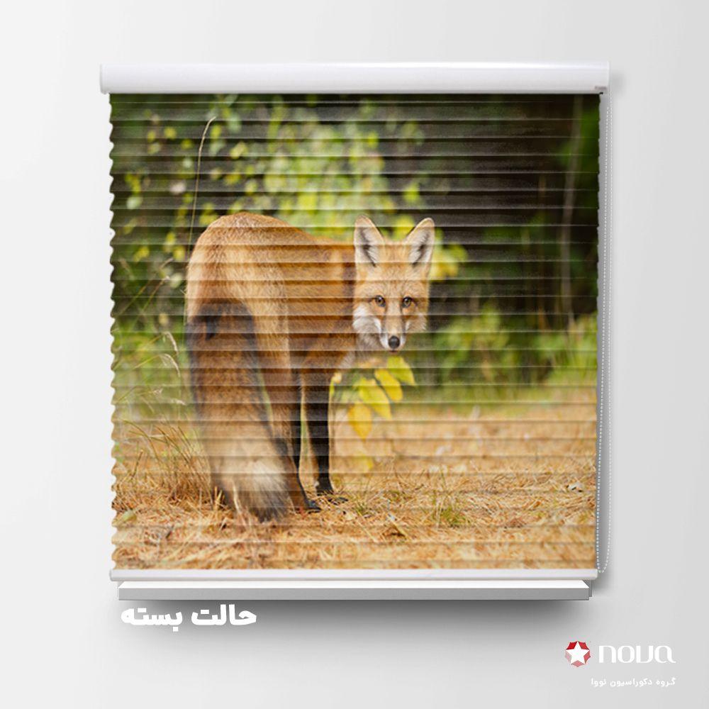 پرده سیلوئت تصویری طرح روباه کد ANM-11