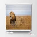 پرده سیلوئت تصویری طرح سلطان جنگل کد ANM-02