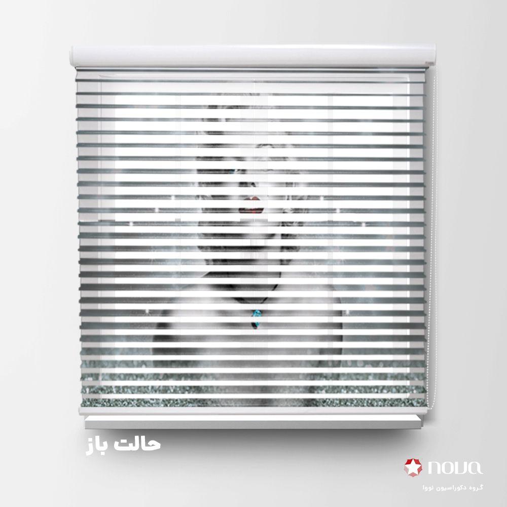 عکس محصول پرده سیلوئت تصویری طرح چهره مرلین مونرو کد FCE-16