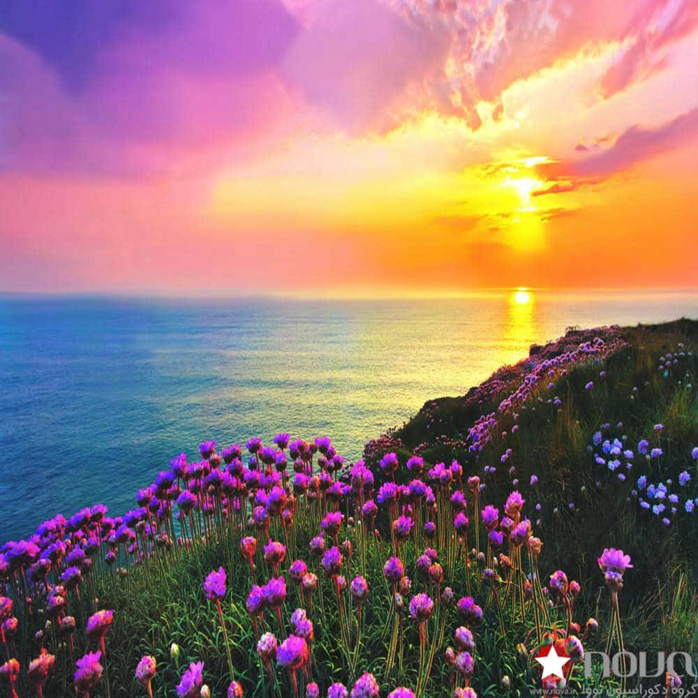 عکس محصول پرده زبرا تصویری طرح طبیعت دشت زیبا و غروب آفتاب کد NAT-06