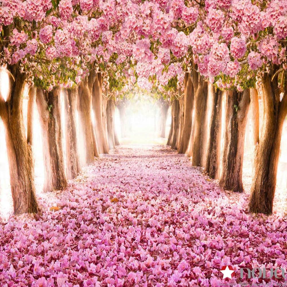 عکس محصول پرده سیلوئت تصویری طرح طبیعت درختان شکوفه صورتی کد NAT-14