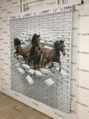 نمونه اجرا شده محصول پرده سیلوئت طرح سه بعدی اسب های وحشی کد TRD-14 | دکوراسیون نووا