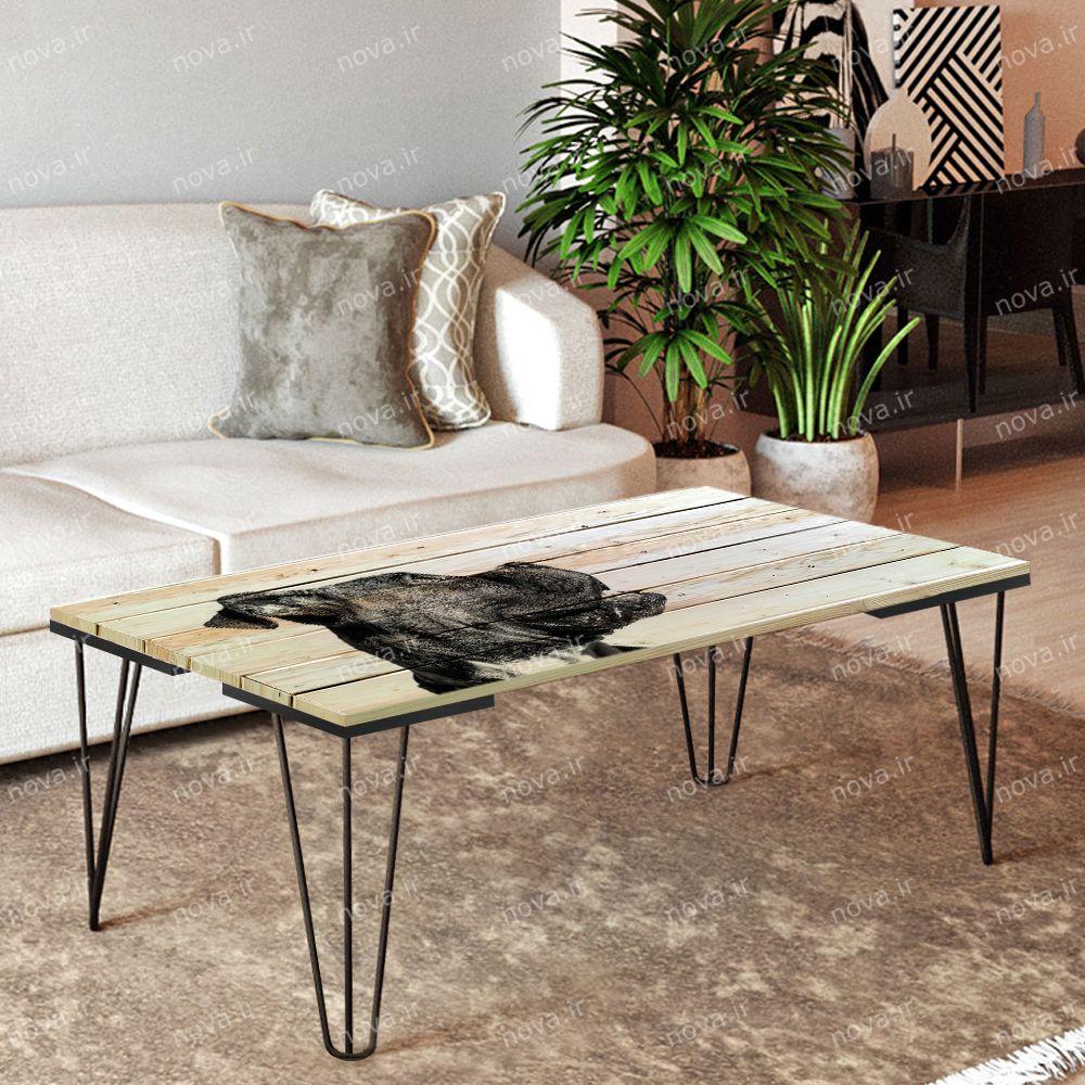 عکس محصول میز جلومبلی مدل مدرنیستیک طرح بولداگ کد TL-13