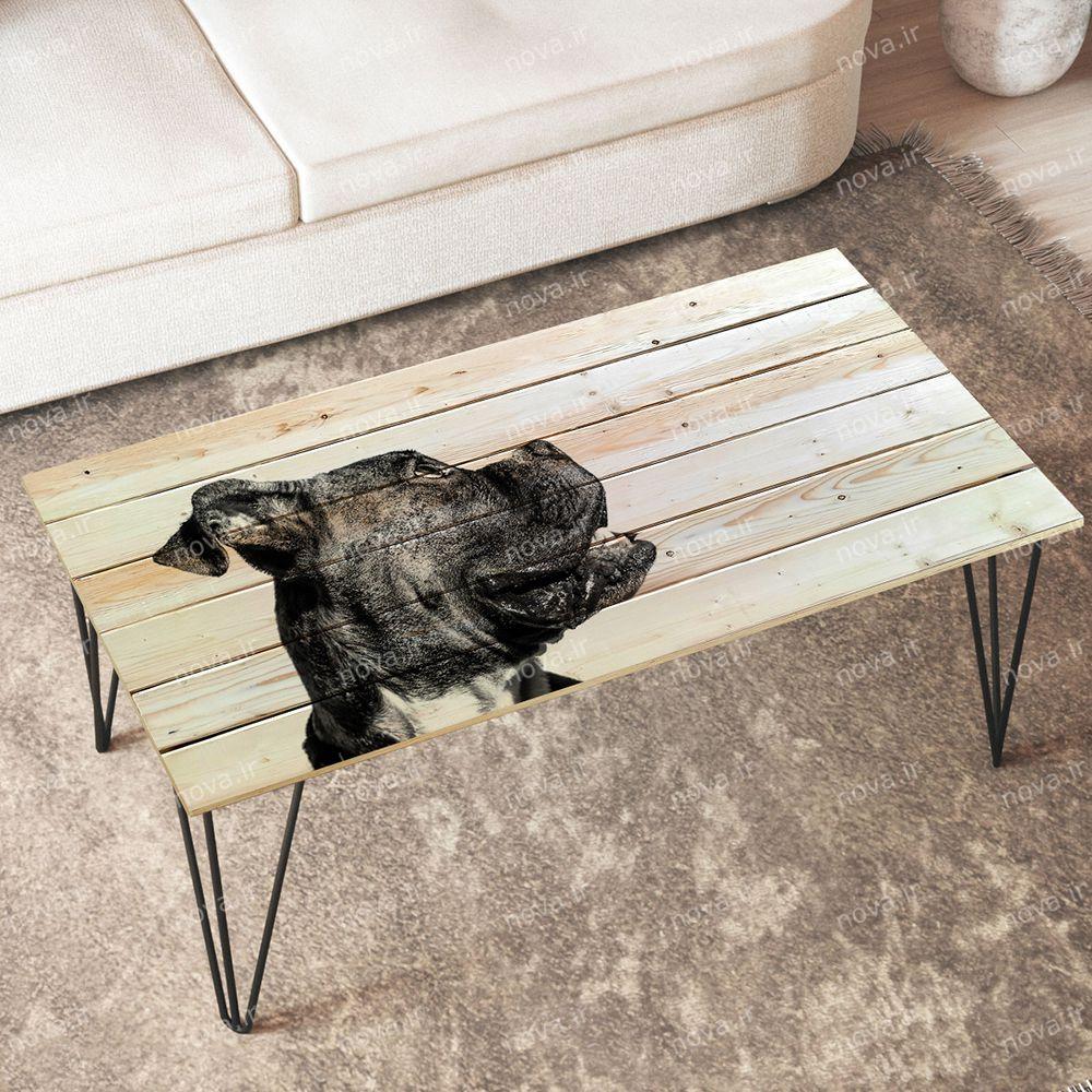 عکس محصول میز جلومبلی مدل مدرنیستیک طرح بولداگ کد TL-13