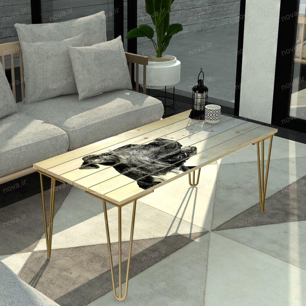 عکس محصول میز جلومبلی مدل مدرنیستیک طرح بولداگ کد TL-13