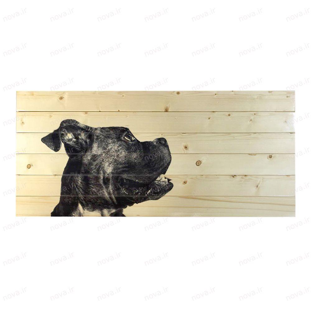 عکس محصول میز جلومبلی مدل مدرنیستیک طرح بولداگ کد TL-13