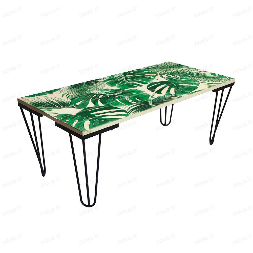 عکس محصول میز جلومبلی مدل مدرنیستیک طرح تروپیکال کد TL-18