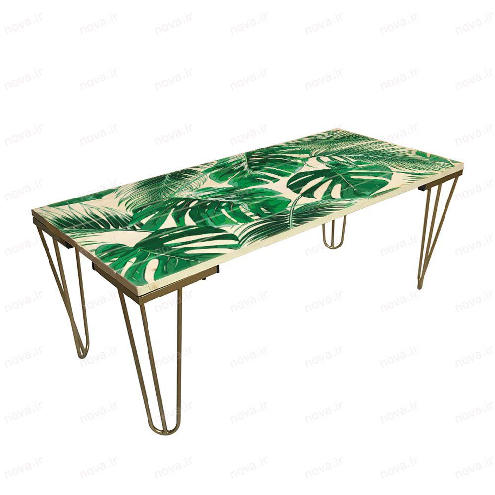 عکس محصول میز جلومبلی مدل مدرنیستیک طرح تروپیکال کد TL-18