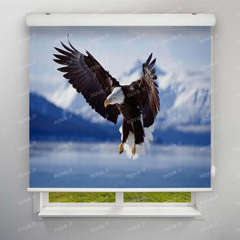 عکس محصول پرده شید تصویری طرح عقاب کد ANM-03